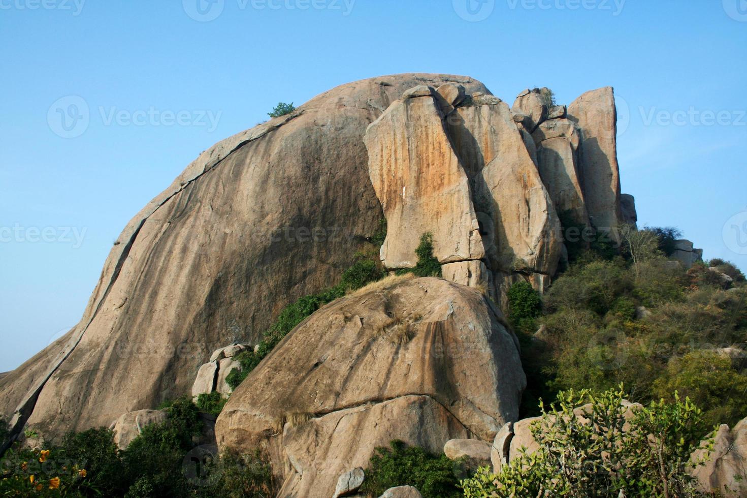 dos d'éléphant rocheux photo