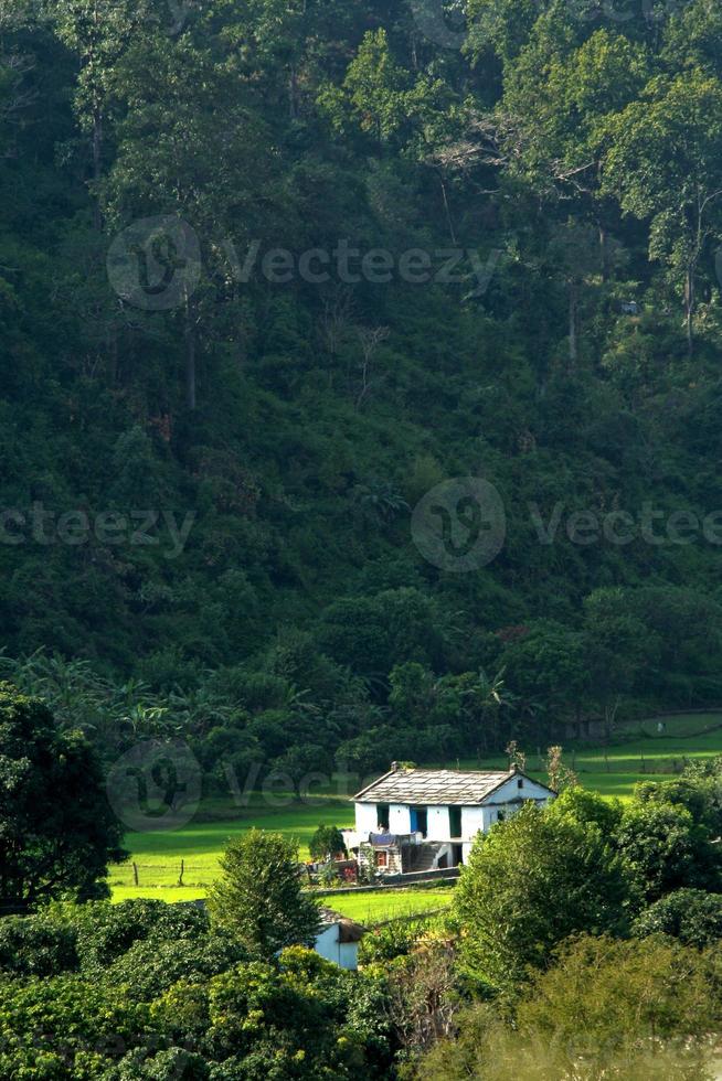 maison solitaire au milieu de la nature photo