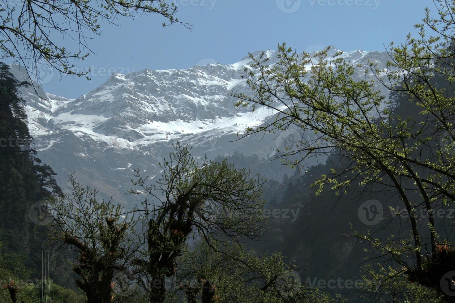 montagne couverte de glace photo