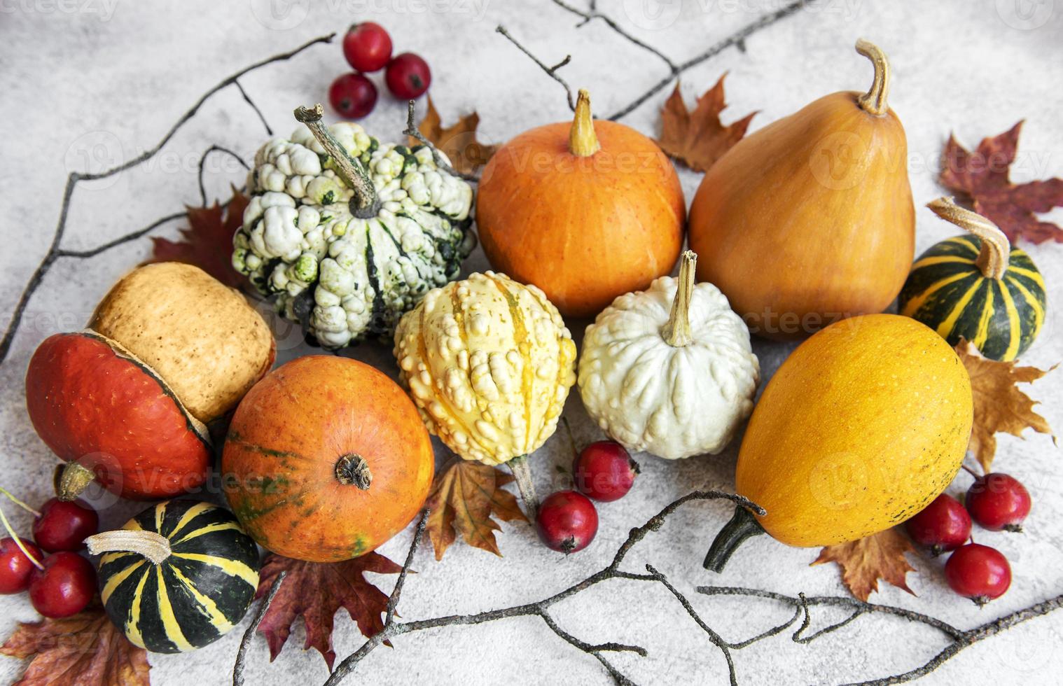 composition d'automne, saison d'automne confortable, citrouilles et feuilles photo