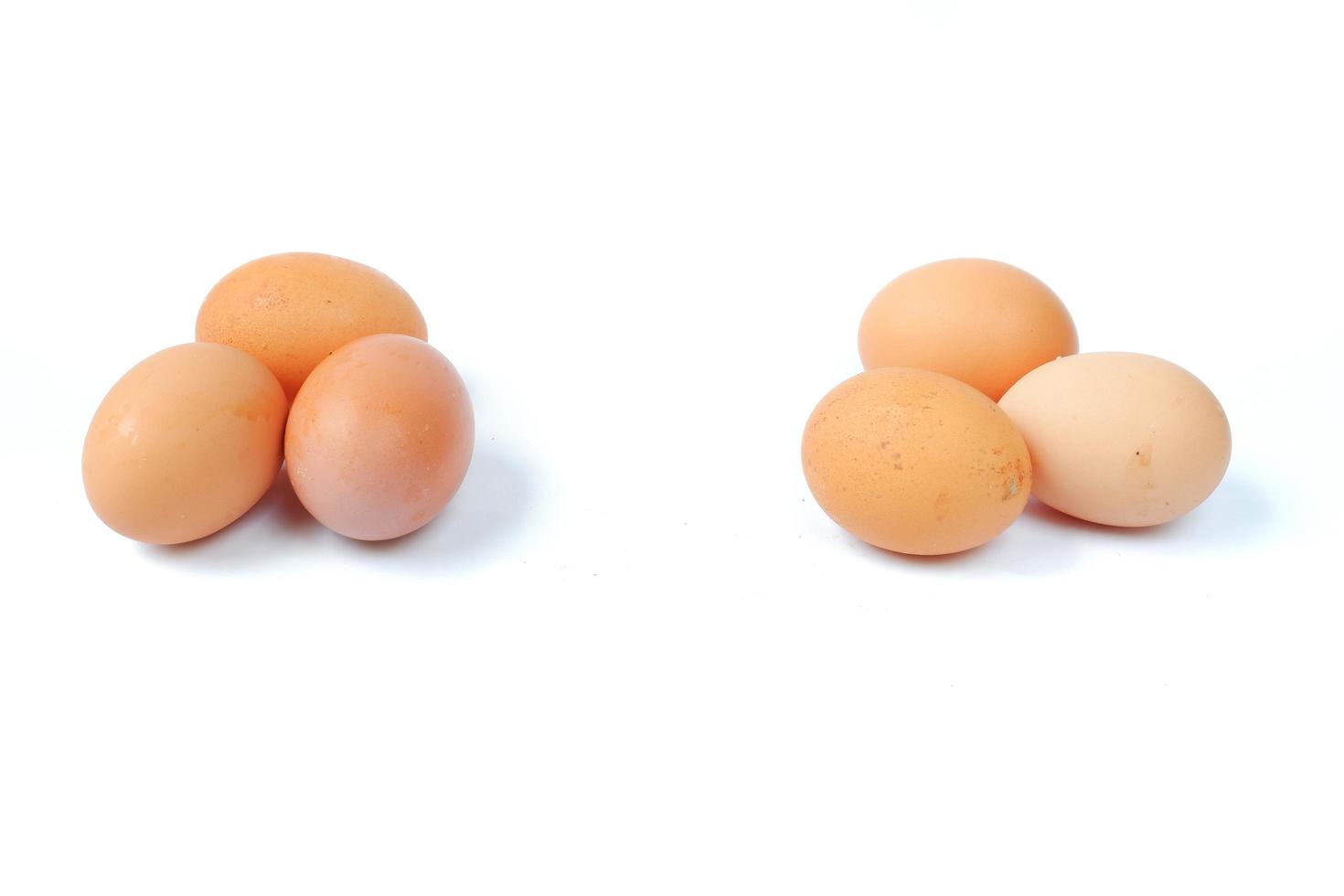 oeufs de poule isolés sur fond blanc photo