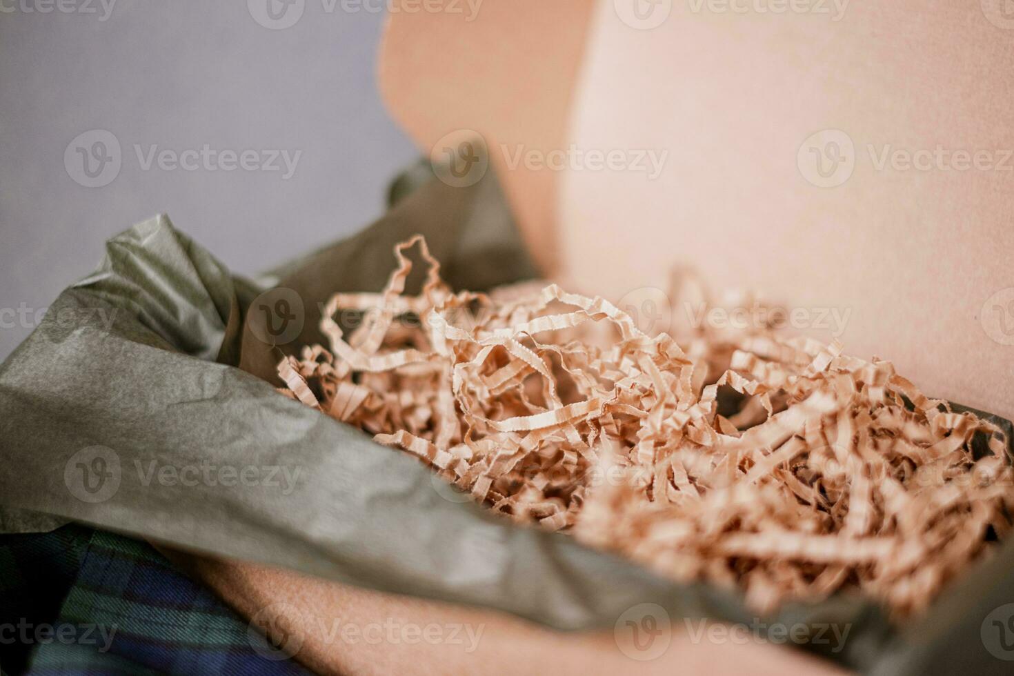 papier carton Noël boîte avec écologique recyclé papier frites pour livraison des biens photo