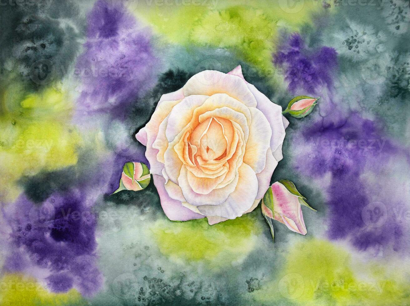 main tiré aquarelle illustration avec une blanc Rose avec bourgeons sur le vert et violet Contexte. aquarelle Rose avec bourgeons. photo