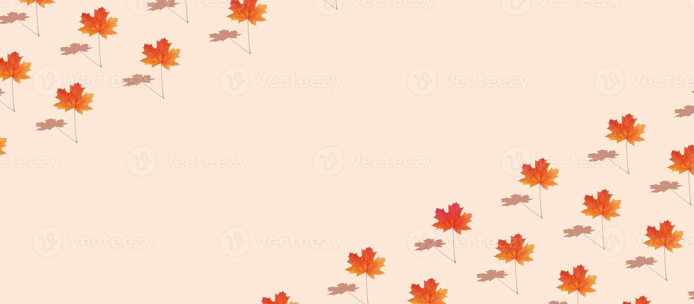 modèle créatif d'automne avec feuille d'érable photo