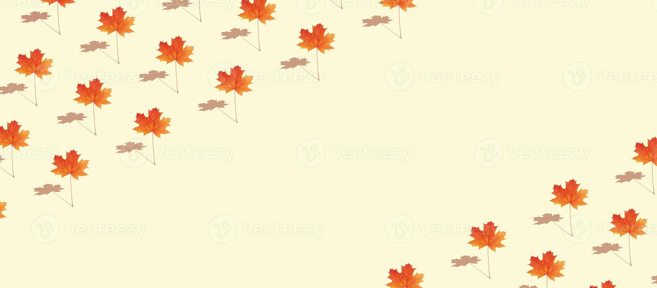 modèle créatif d'automne avec feuille d'érable photo