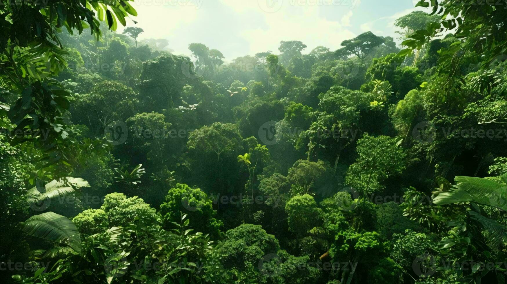 une forêt de des arbres ai généré photo