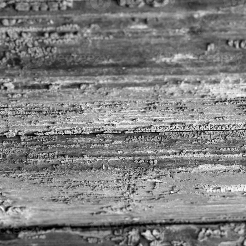 en bois modèle proche voir, noir et blanc en bois surface photo