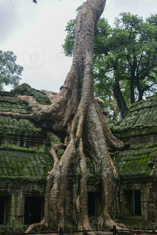 Complexe d'Angkor Vat photo