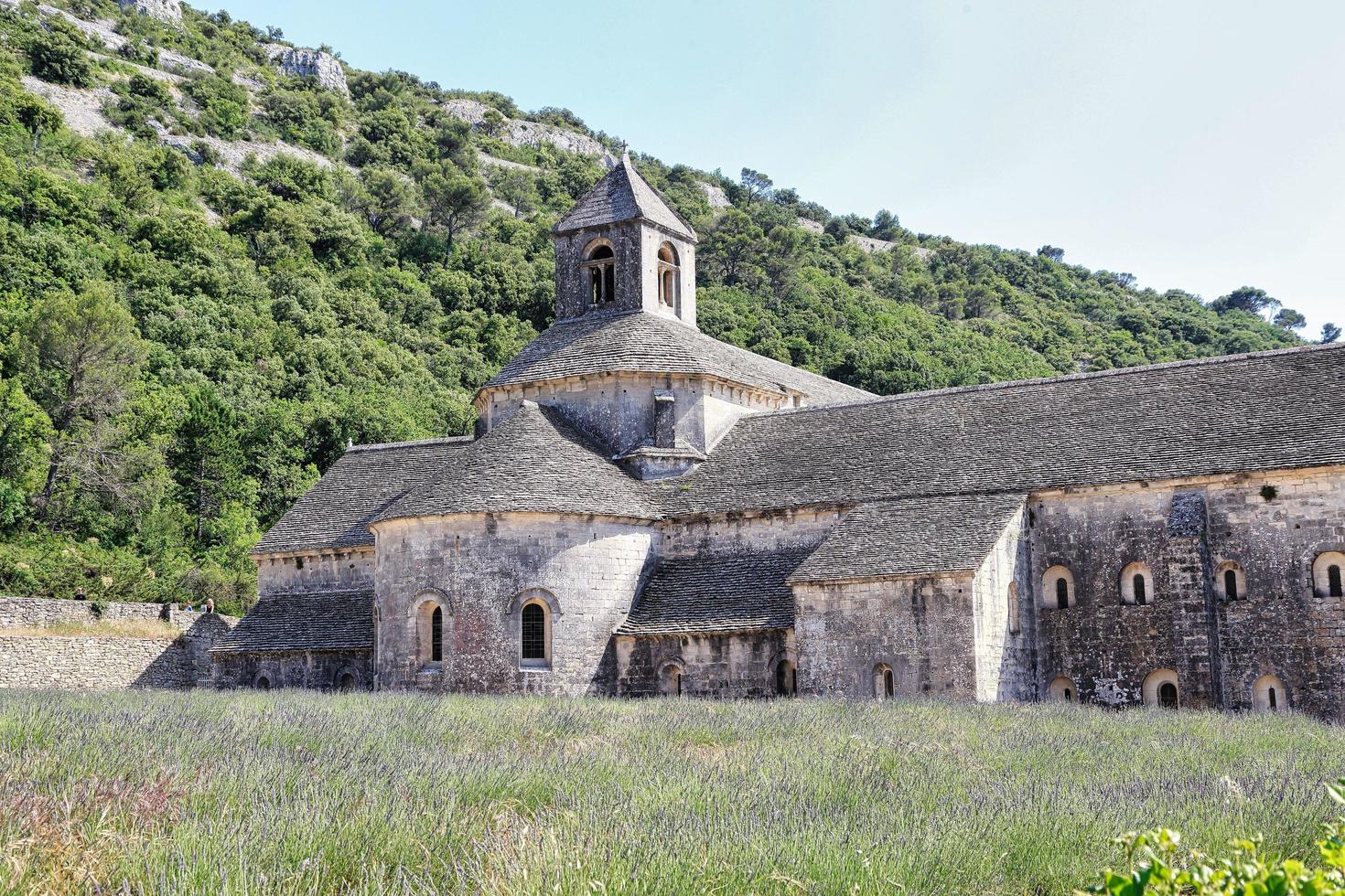 Champ de lavande à l'abbaye de sénanque gordes france photo