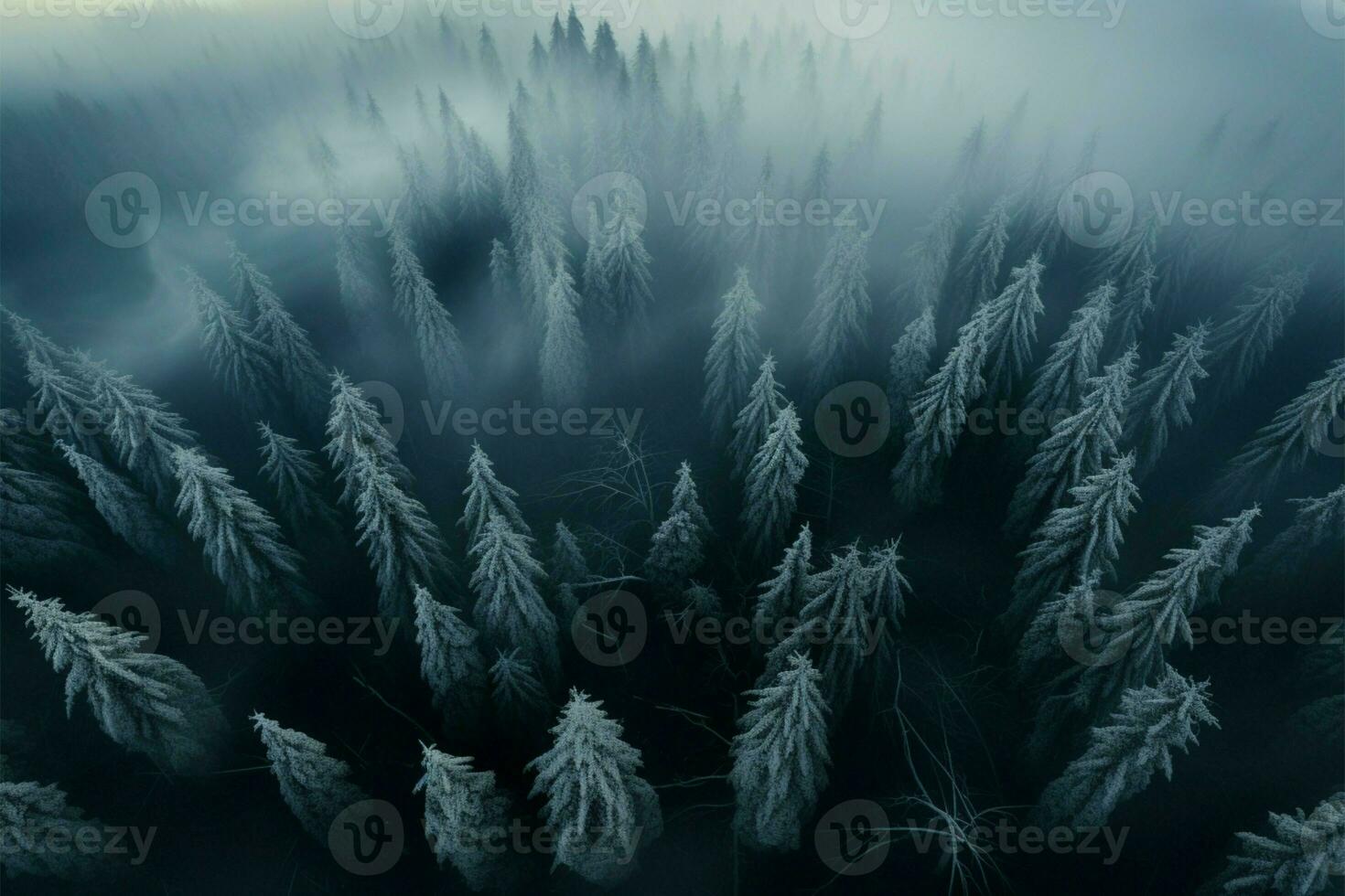 le éthéré aura de une brumeux, Haut vers le bas vue de le hiver forêt ai généré photo