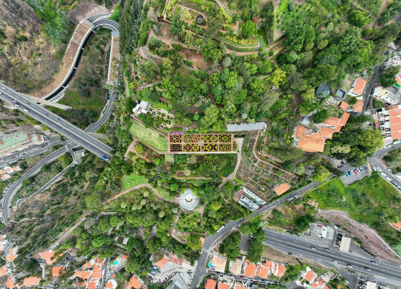 botanique jardin monte - funchal, le Portugal photo