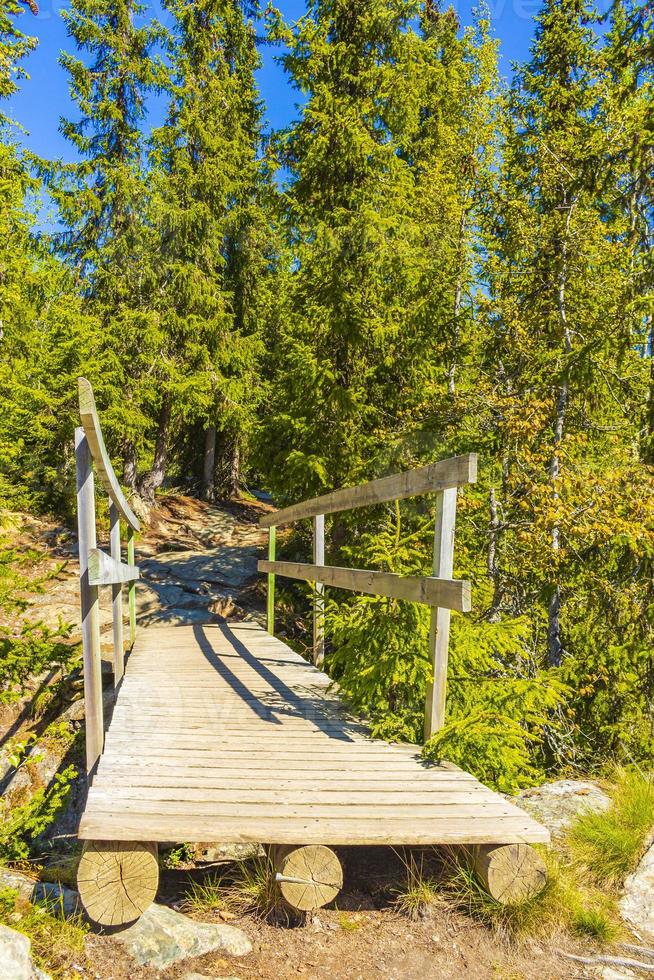 petit pont en bois et sentier sur la rivière hemsedal norvège. photo