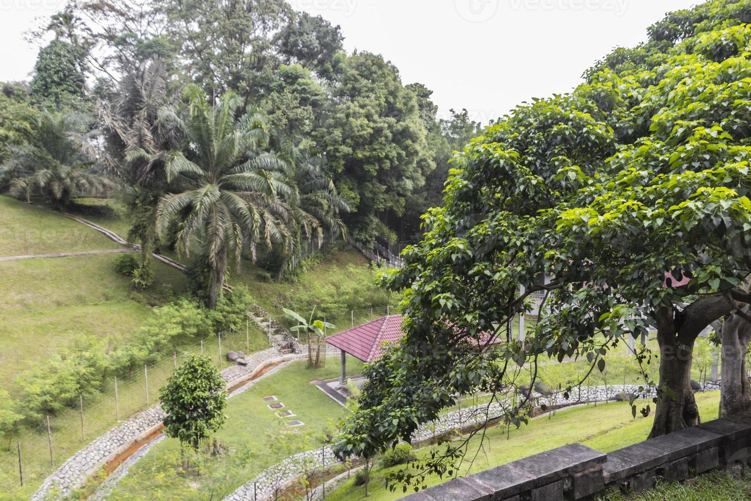 vue d'en haut sur le parc des cerfs de taman rusa, en malaisie. photo