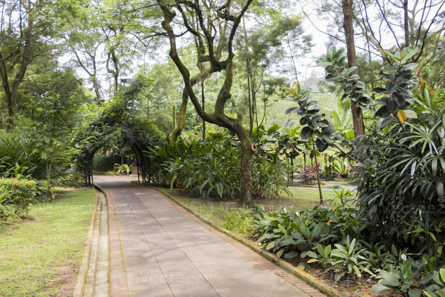 jardins botaniques parfaits et propres du parc perdana à kuala lumpur. photo