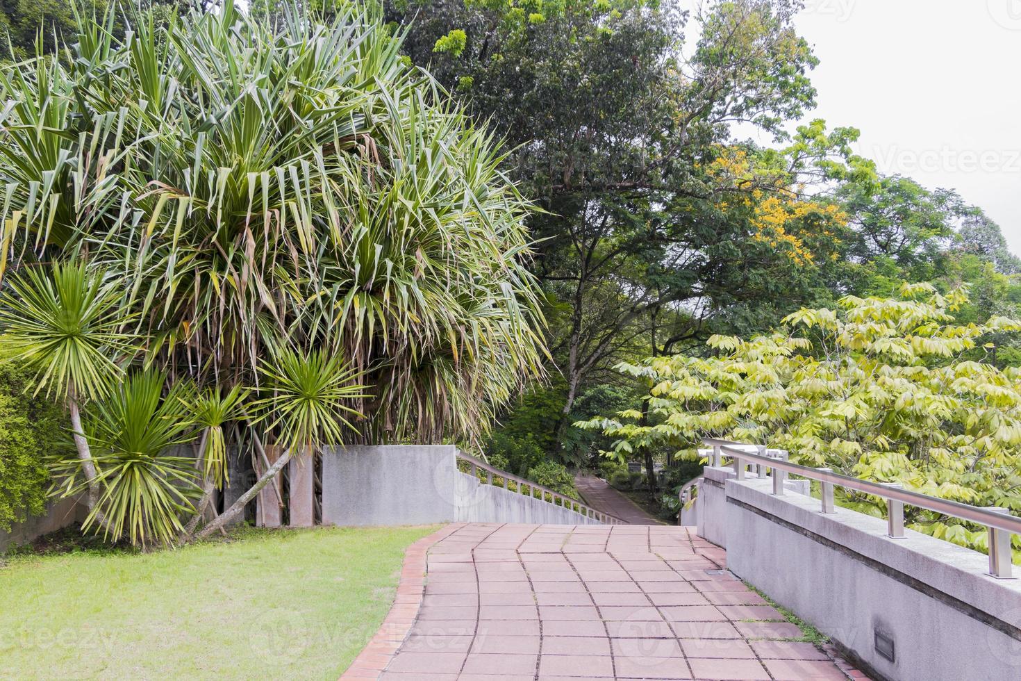 Jardins botaniques perdana à Kuala Lumpur, Malaisie photo