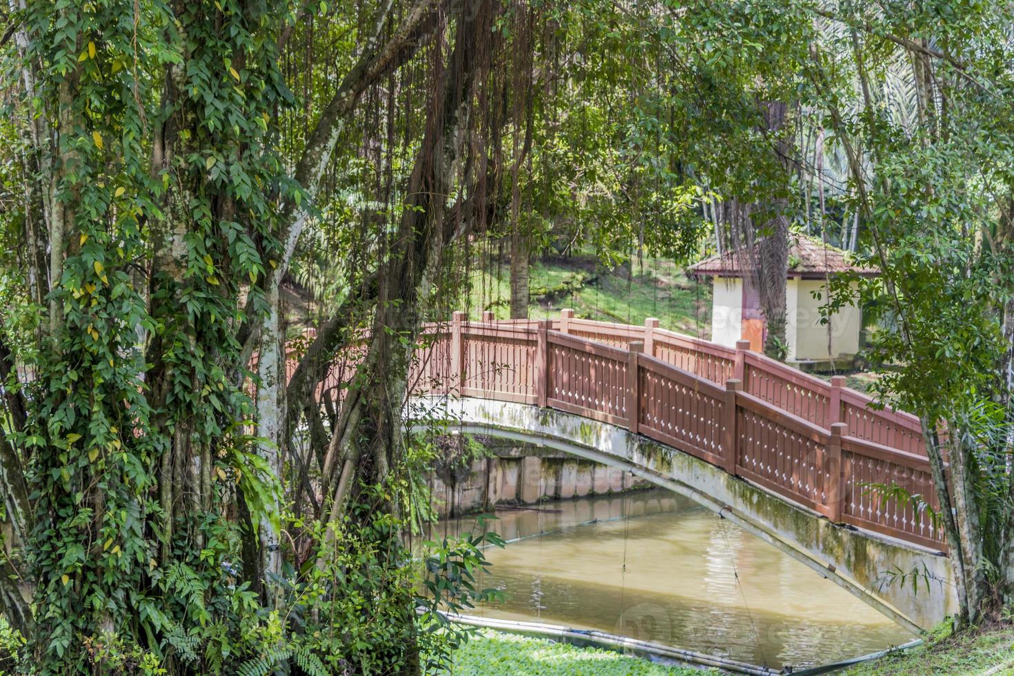 Pont sur la rivière tasik perdana dans les jardins botaniques perdana à Kuala Lumpur, Malaisie photo