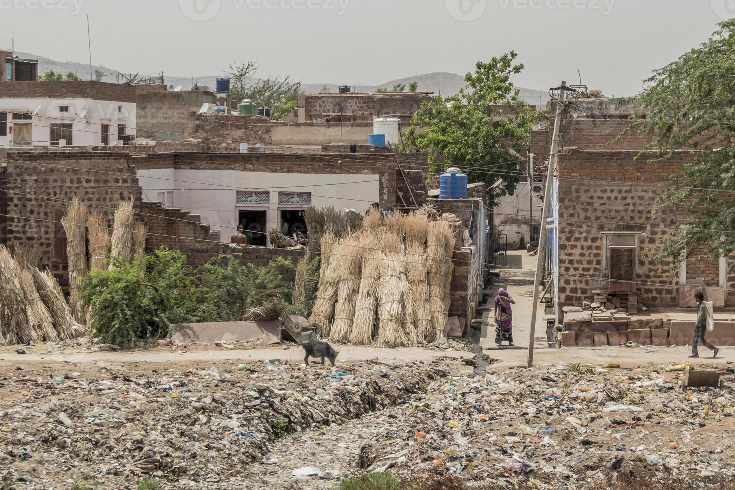 ordures, pauvreté et chaleur au Rajasthan en Inde. photo