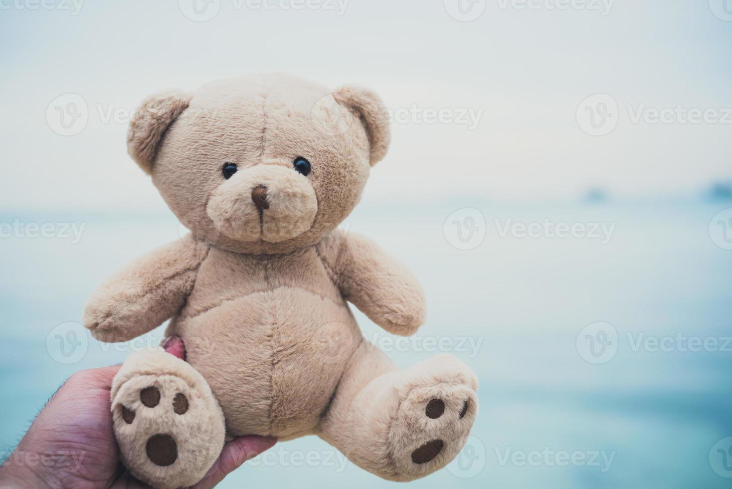 poupée ours à la main avec fond de plage et de mer photo