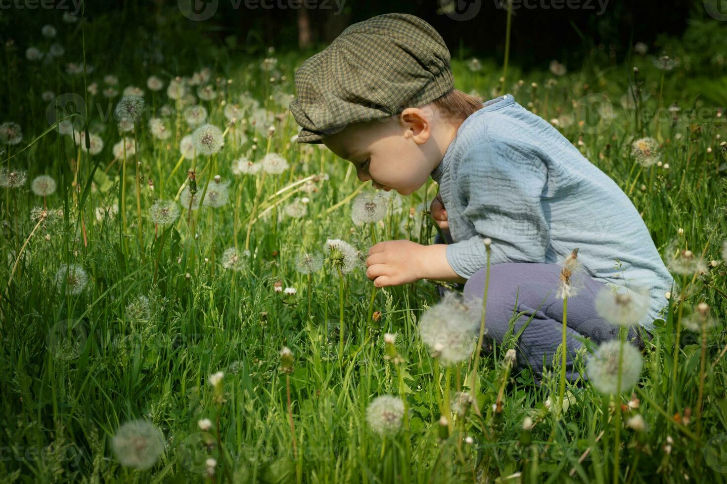 bambin garçon dans champ de pissenlits. heure d'été, les enfants en plein air activités. photo