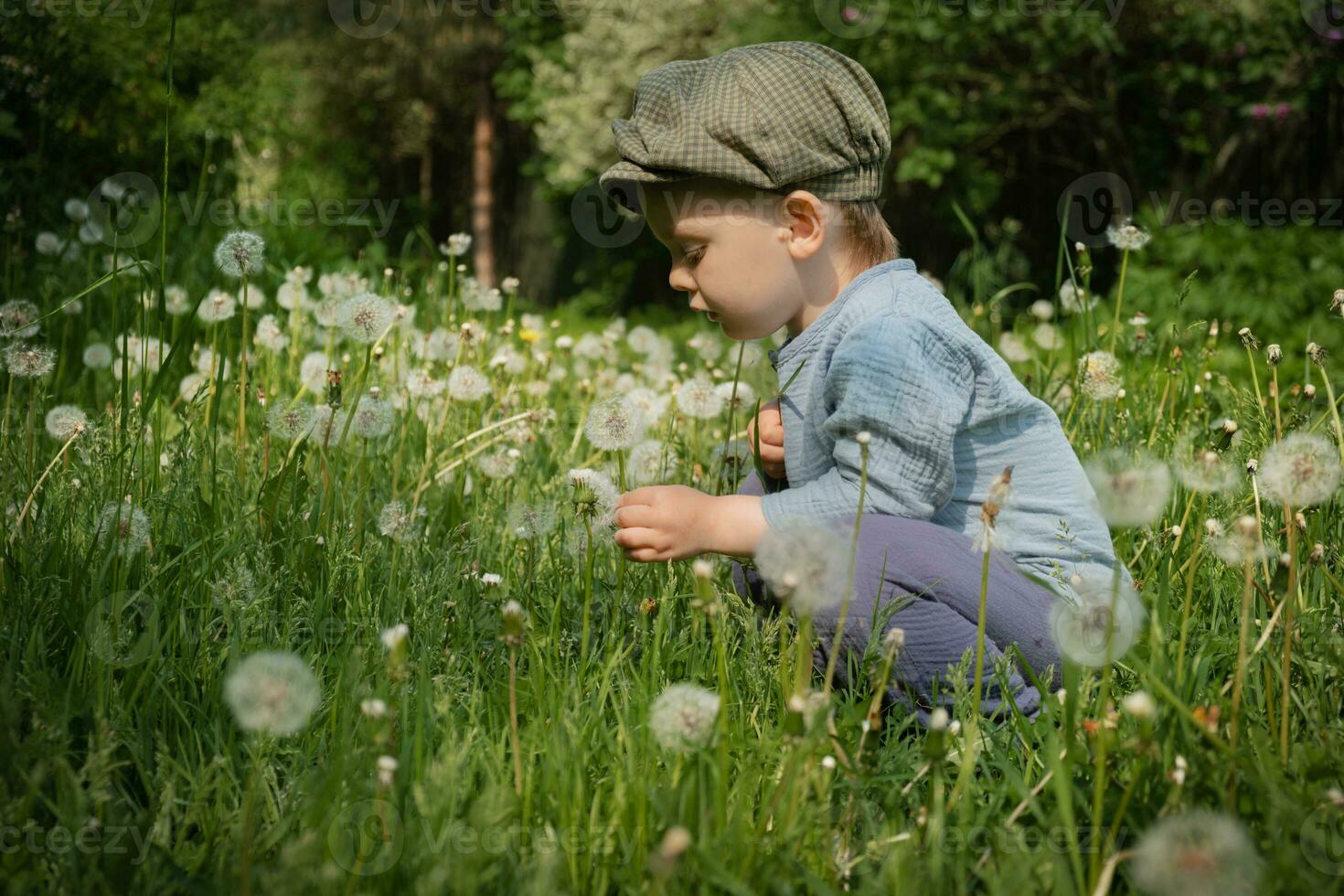 mignonne bambin garçon pièces dans Prairie rempli avec pissenlits. photo