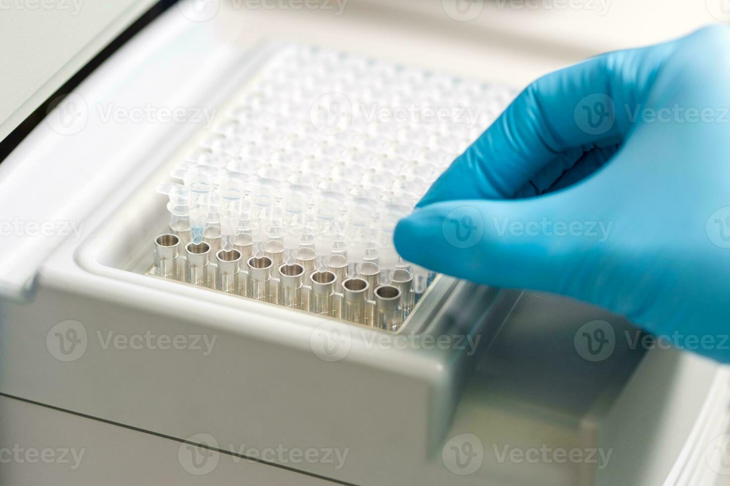 une ensemble de verre tubes pour échantillons. laboratoire chimique équipement. photo