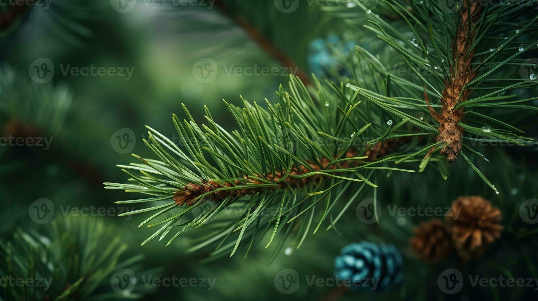 macro photo de Noël arbre