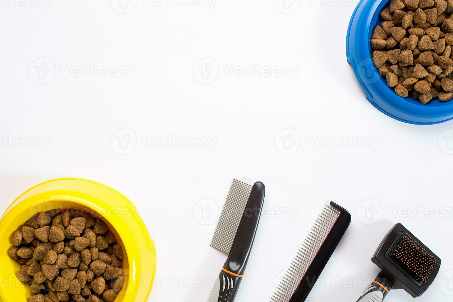sec animal de compagnie nourriture dans bol, peignes et brosses pour chiens sur blanc Contexte Haut vue photo