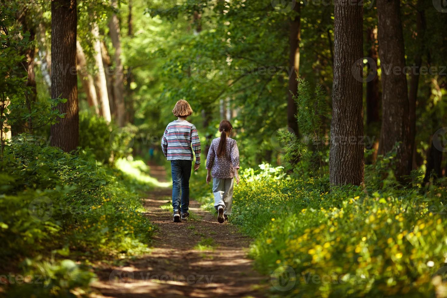 garçon avec fille marchant dans la forêt d'été photo