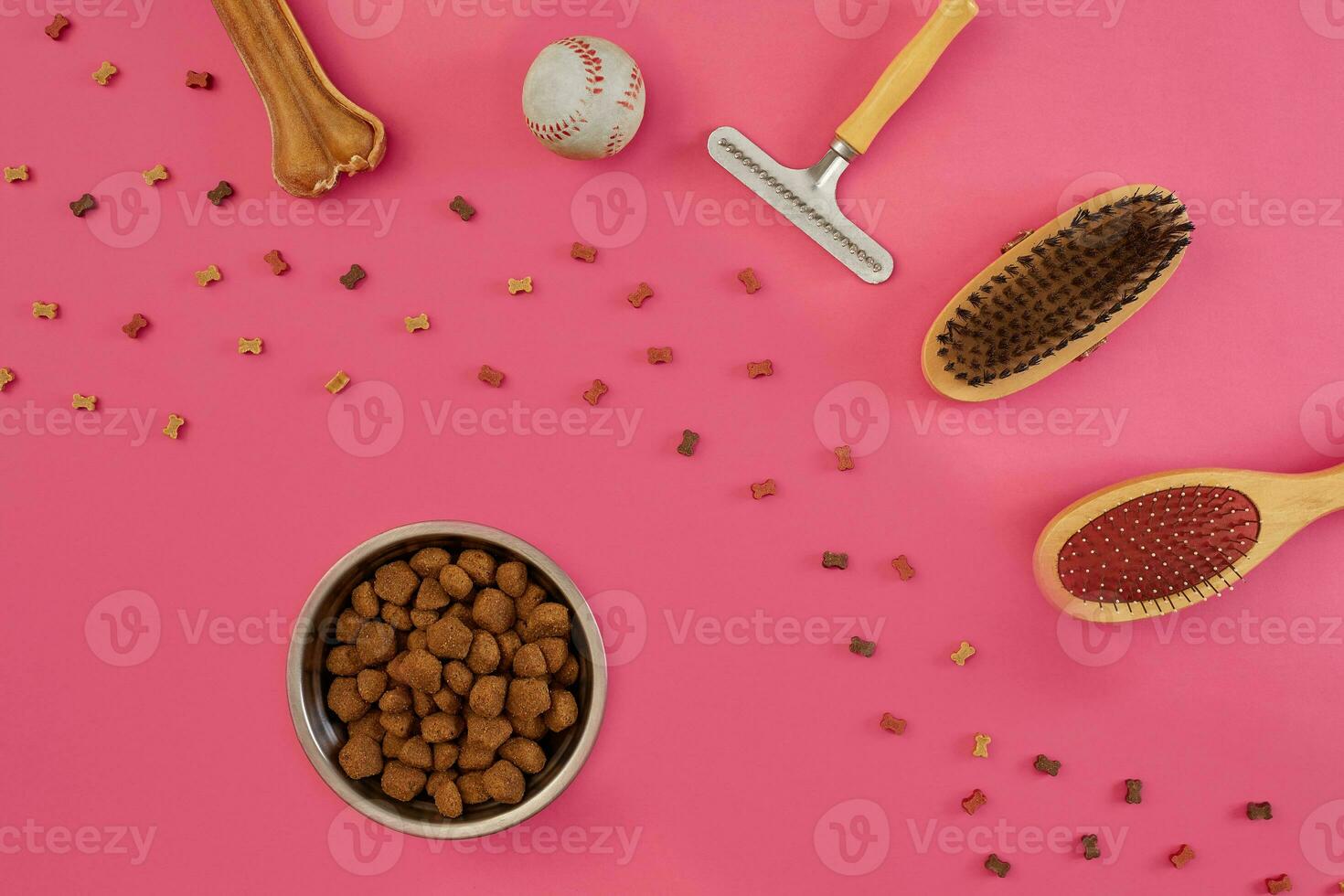 accessoires pour le toilettage de le chien. peignes et brosses pour chiens. Haut vue photo