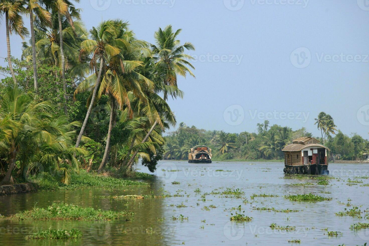 tranquille tropical plage avec paume des arbres et bleu mer. photo