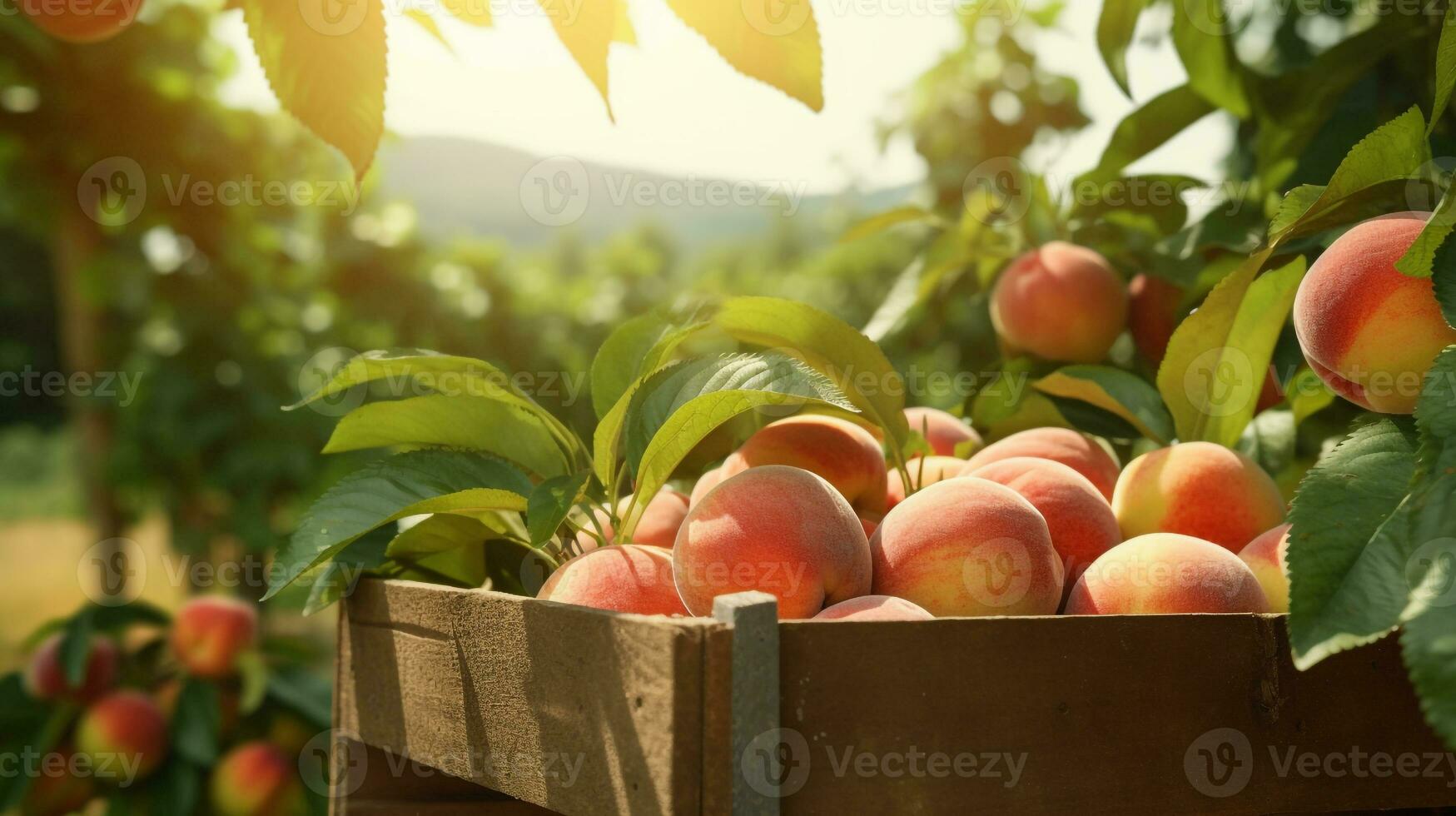 fraîchement choisi pêche fruit de jardin mis dans le des boites. génératif ai photo