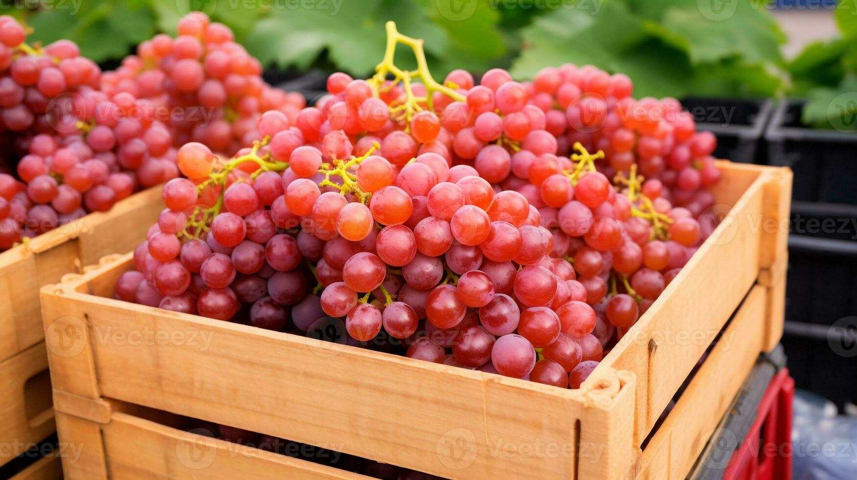 fraîchement choisi grain de raisin fruit de jardin mis dans le des boites. génératif ai photo