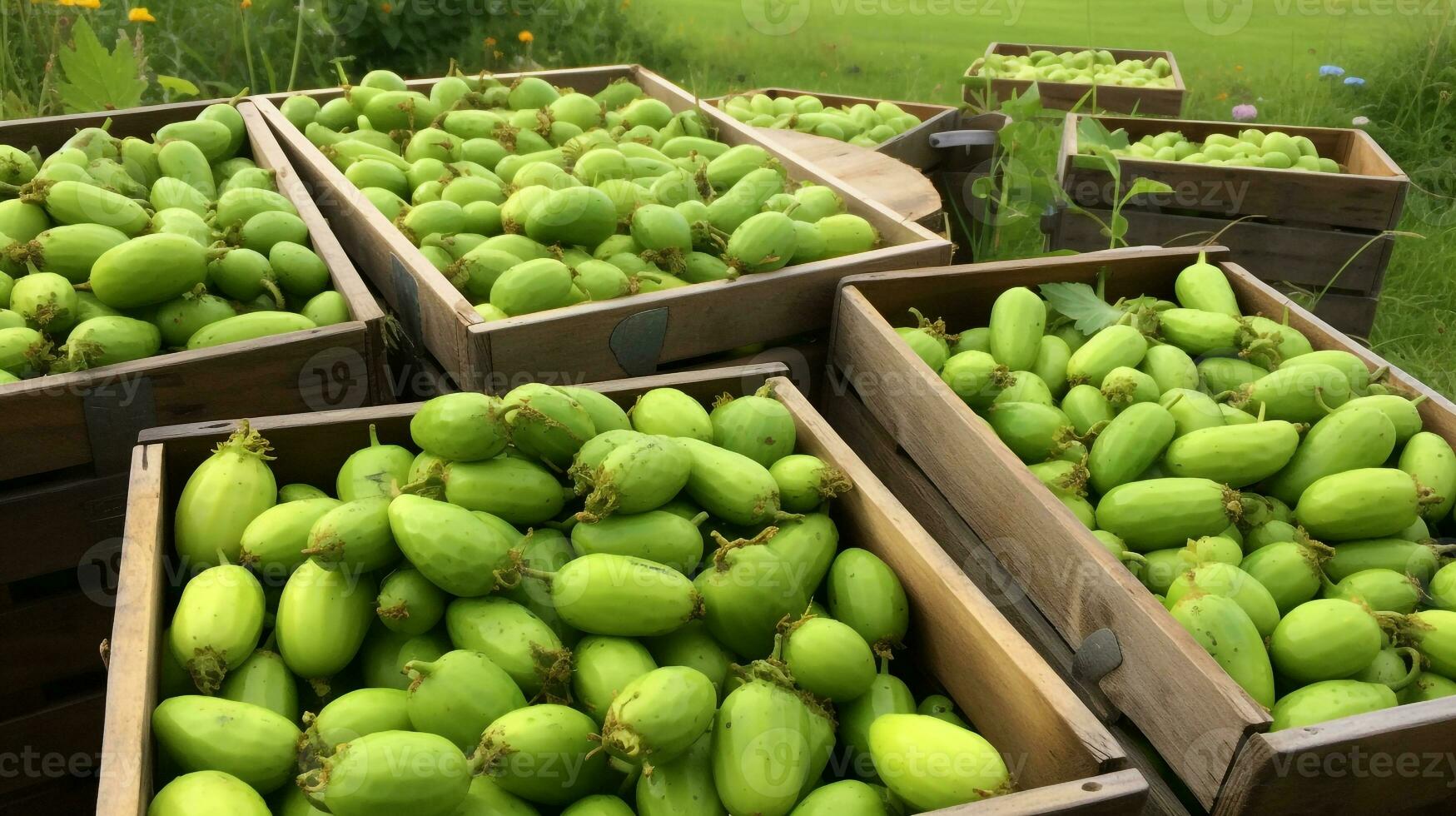 fraîchement choisi carica fruit de jardin mis dans le des boites. génératif ai photo