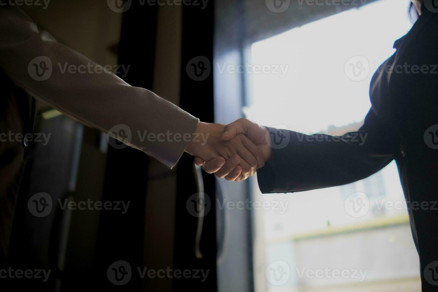 les hommes d'affaires et investisseurs secouer mains après assister réunion avec consultatif équipe après recevoir Conseil de consultatif équipe à propos conjointement investi entreprise. les hommes d'affaires équipe poignée de main concept photo