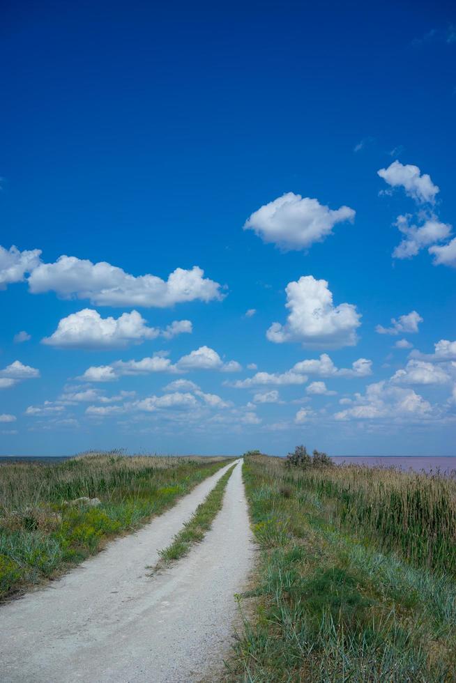 paysage naturel avec lac salé rose. photo