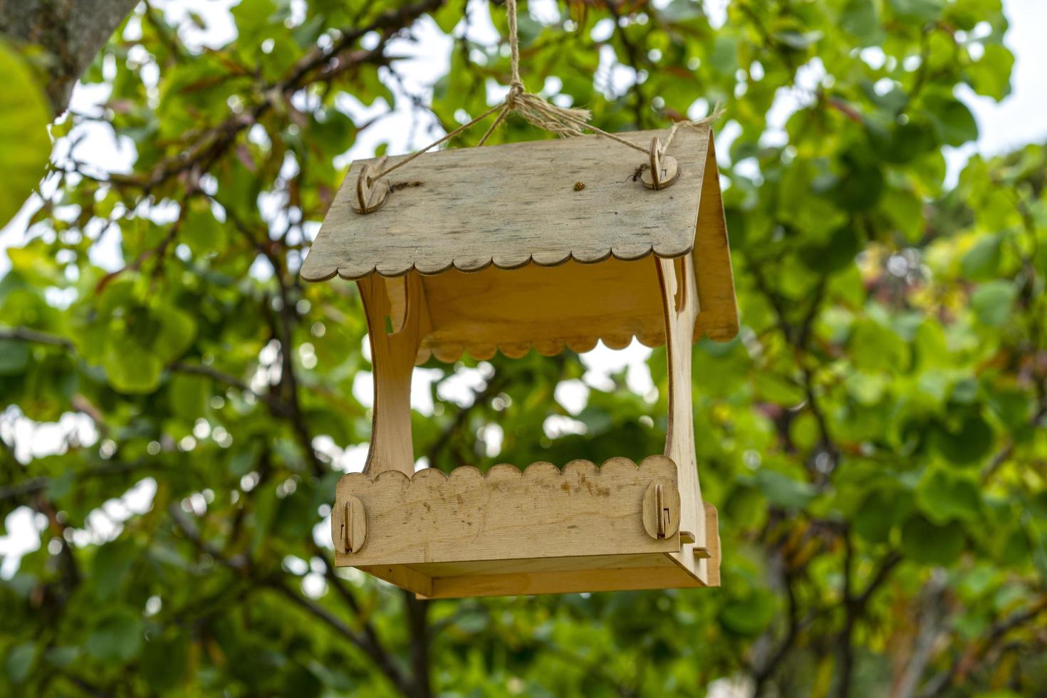 mangeoires d'oiseaux en bois sur un arrière-plan flou d'arbres photo