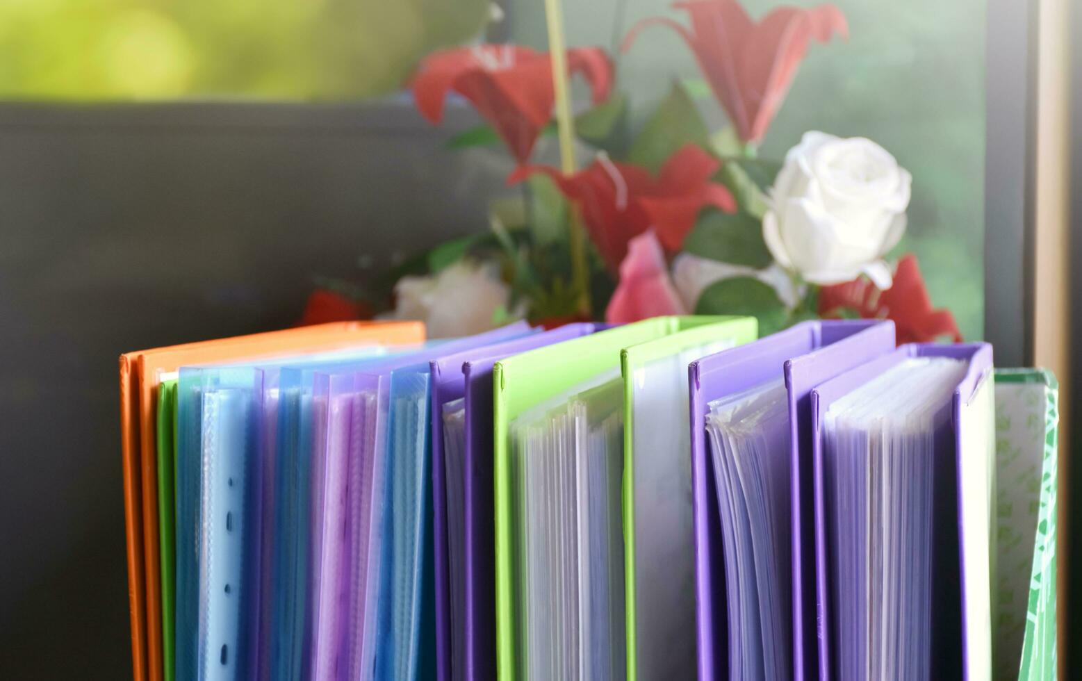 retour vue de divers Plastique fichier Dossiers pour stockage important les documents dans une fichier boîte pour propreté et facile découverte des endroits près transparent verre fenêtre, flou édité Contexte. photo