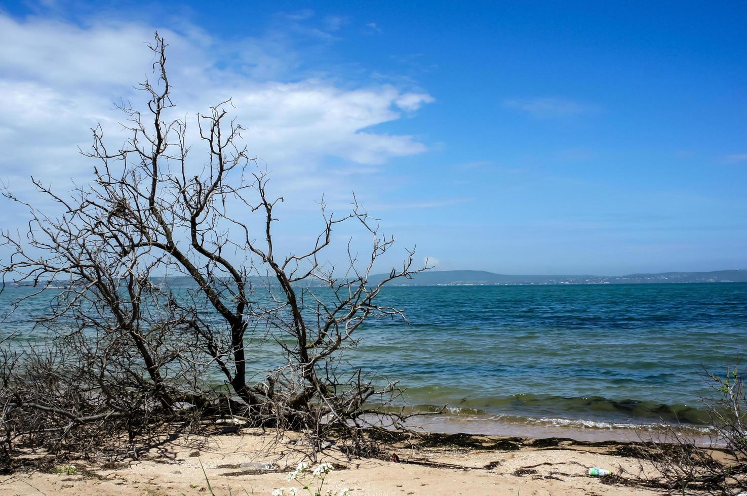 paysage marin avec le littoral de la mer azov. photo