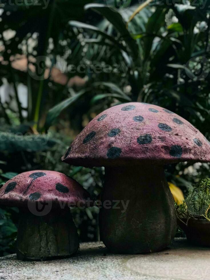 deux champignons avec noir taches sur leur asseoir sur une table photo