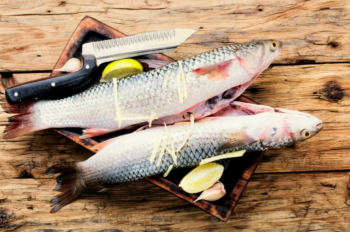 brut poisson avec épices photo