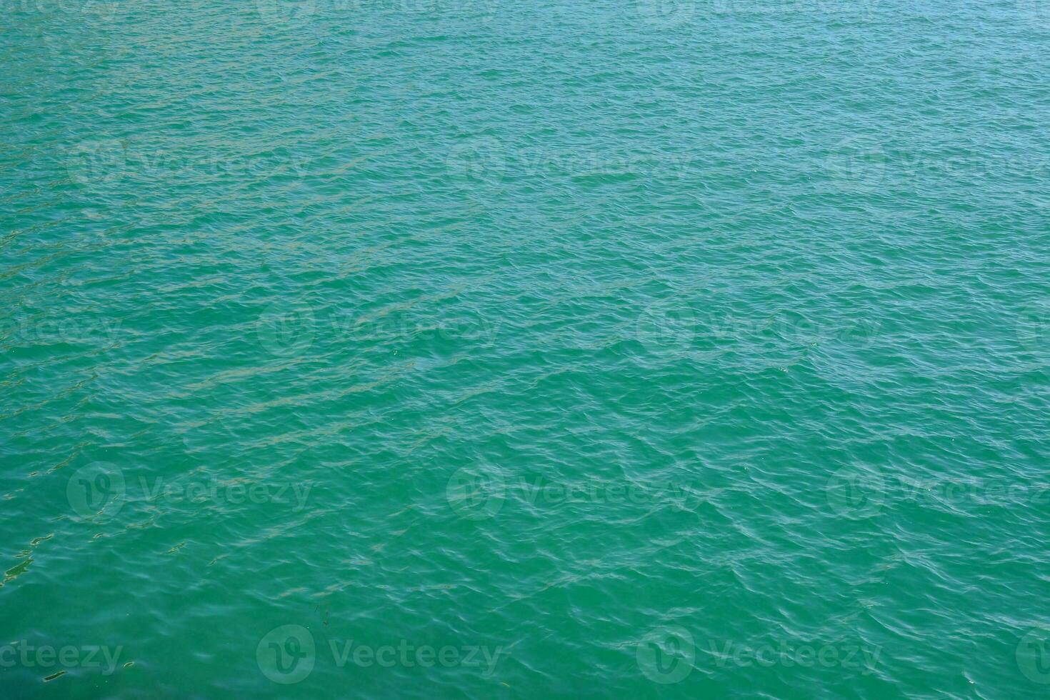 le l'eau est vert et clair photo
