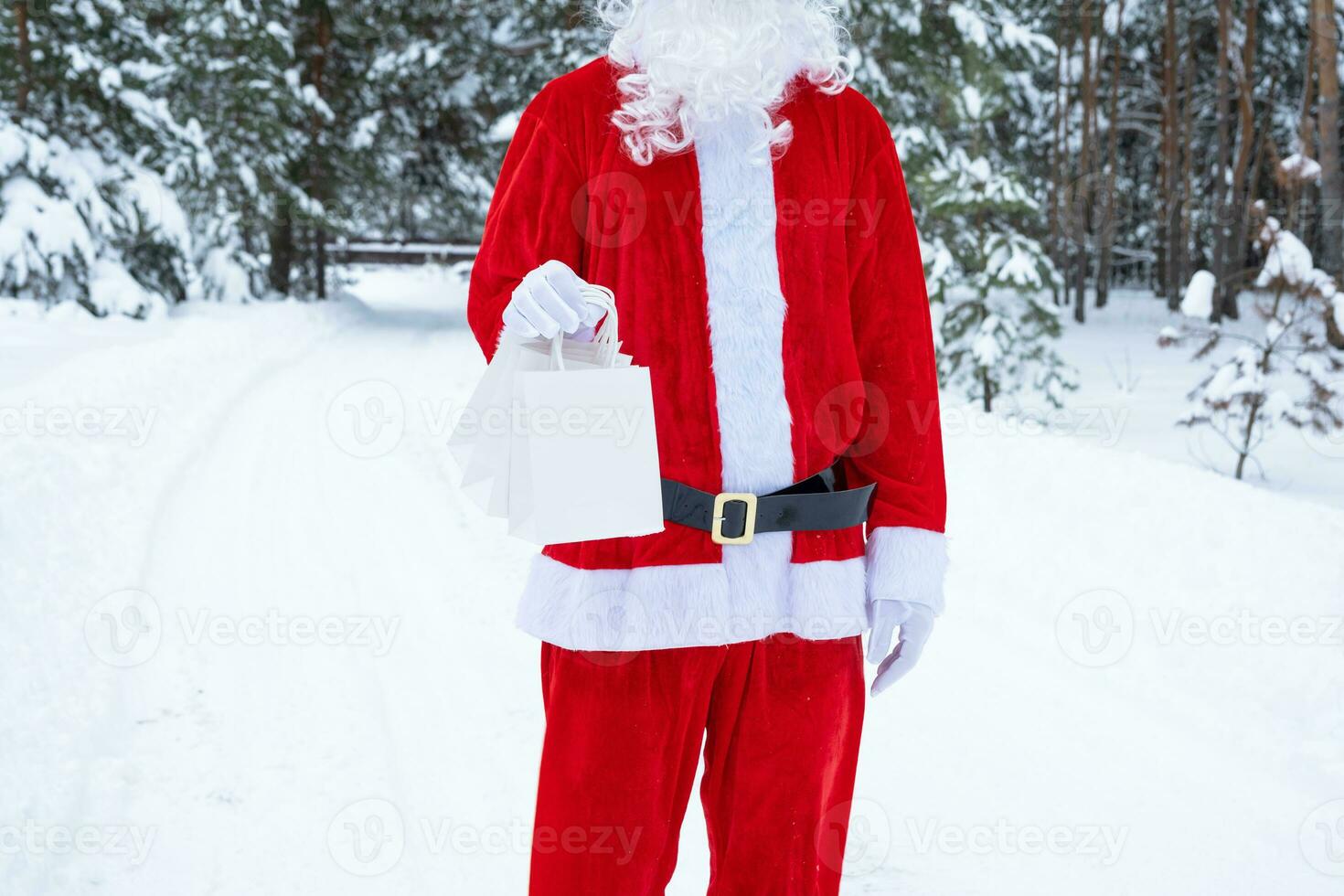 le père noël en plein air en hiver et dans la neige remet des sacs en papier à main avec cadeau artisanal, livraison de nourriture. shopping, recyclage des emballages, fait main, livraison pour noël et nouvel an photo