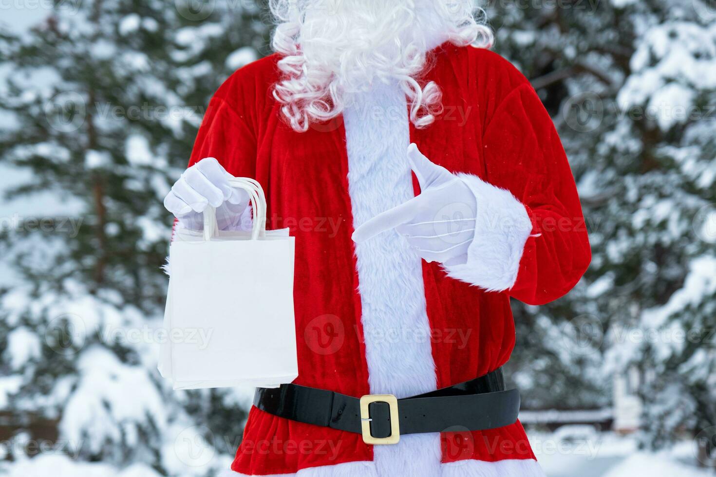Père Noël claus Extérieur dans hiver et neige remise dans main papier Sacs points avec le sien doigt. achats, emballage recyclage, Fait main, livraison pour Noël et Nouveau année photo