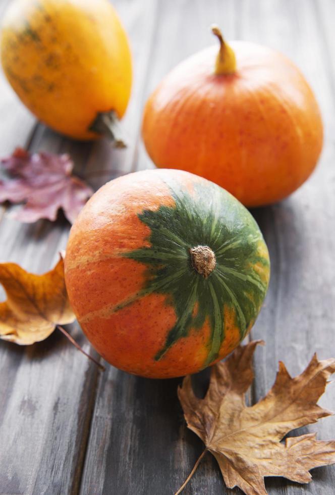 composition d'automne avec des citrouilles assorties photo