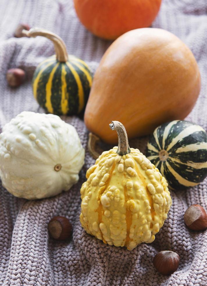 une nature morte d'automne rustique avec des citrouilles photo