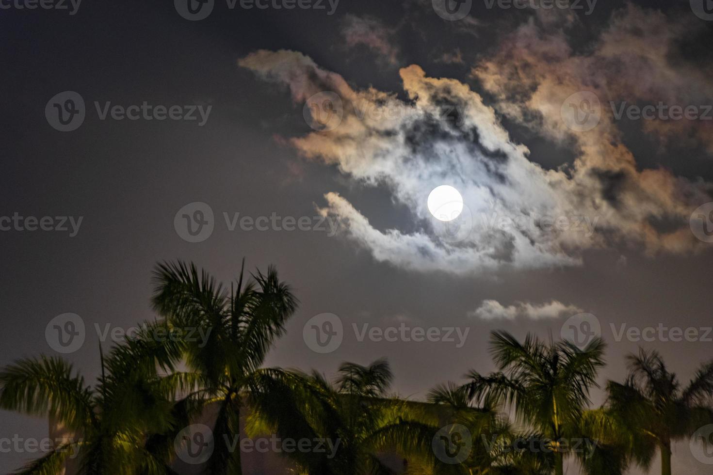 merveilleuse pleine lune dramatique avec des nuages derrière des palmiers playa mexique. photo