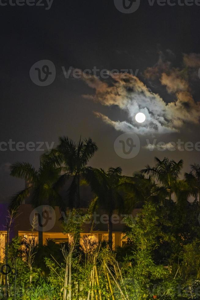 merveilleuse pleine lune dramatique avec des nuages derrière des palmiers playa mexique. photo