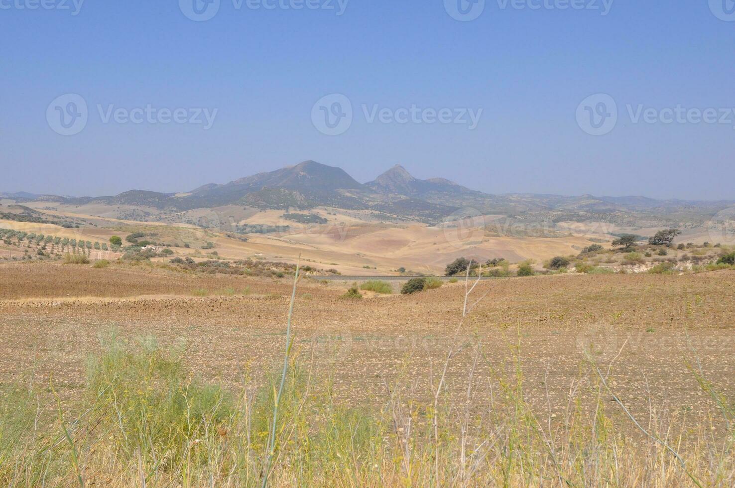 collines dans andalousie photo