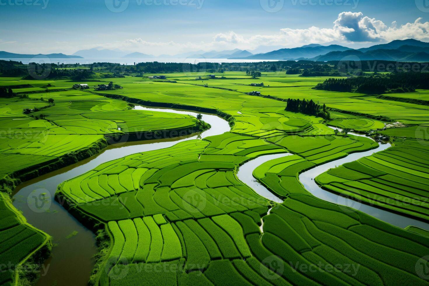 luxuriant vert riz des champs drone voir. serein campagne paysage la photographie. ai génératif photo