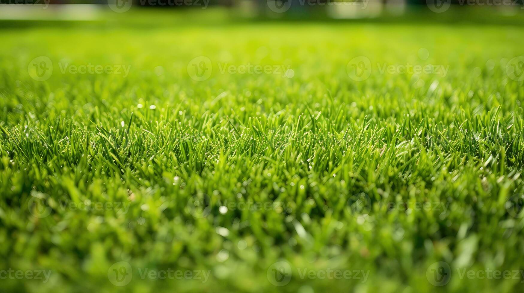 ai généré la nature plante vert bouquet ensoleillé ai généré photo